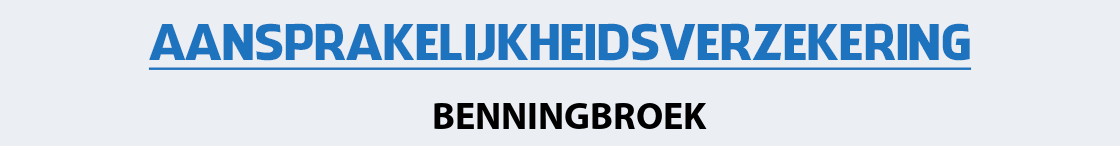 aansprakelijkheidsverzekering-benningbroek