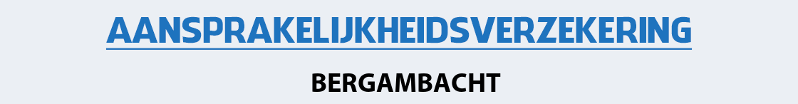 aansprakelijkheidsverzekering-bergambacht