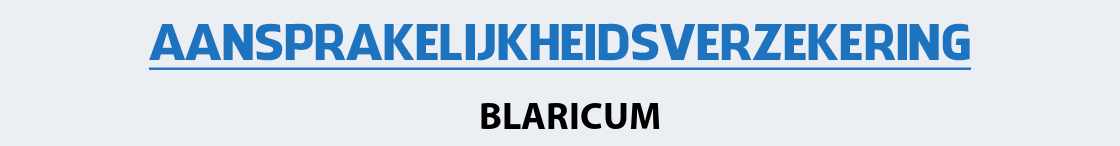 aansprakelijkheidsverzekering-blaricum