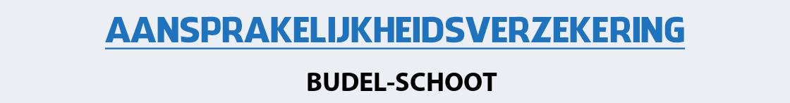 aansprakelijkheidsverzekering-budel-schoot