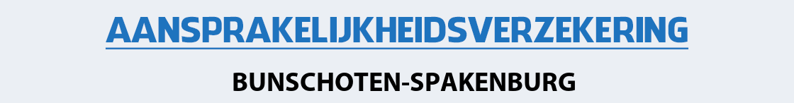 aansprakelijkheidsverzekering-bunschoten-spakenburg
