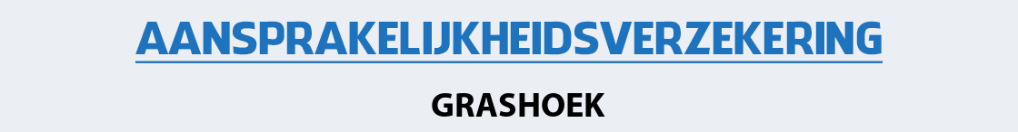 aansprakelijkheidsverzekering-grashoek
