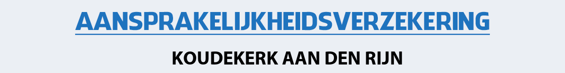 aansprakelijkheidsverzekering-koudekerk-aan-den-rijn