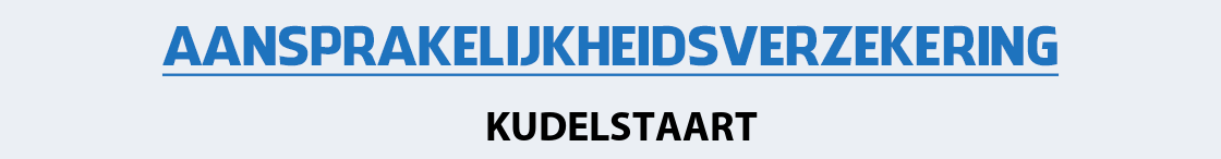 aansprakelijkheidsverzekering-kudelstaart