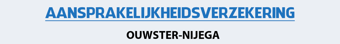 aansprakelijkheidsverzekering-ouwster-nijega