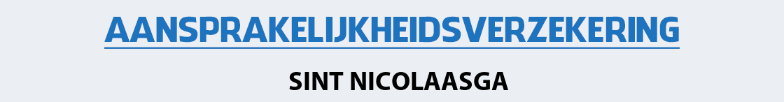 aansprakelijkheidsverzekering-sint-nicolaasga