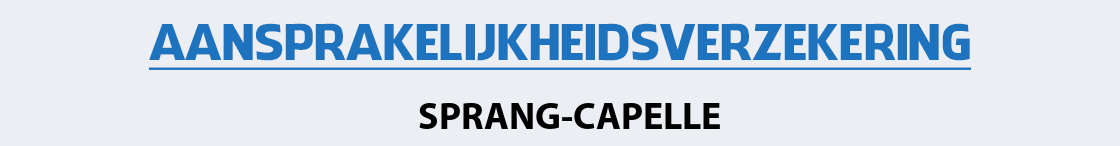 aansprakelijkheidsverzekering-sprang-capelle