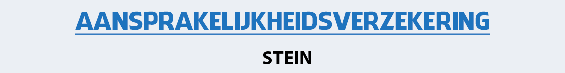 aansprakelijkheidsverzekering-stein